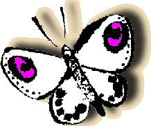 TweeNet logo